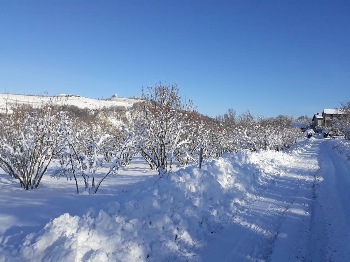 Agriturismo Cascina Binelli Dogliani Kültér fotó
